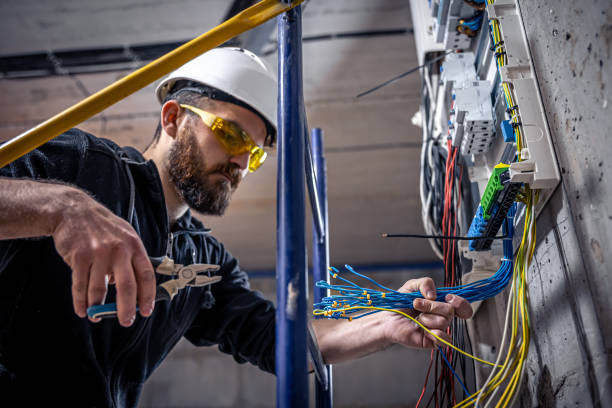 Best Electric Panel Repair  in Watts Mills, SC